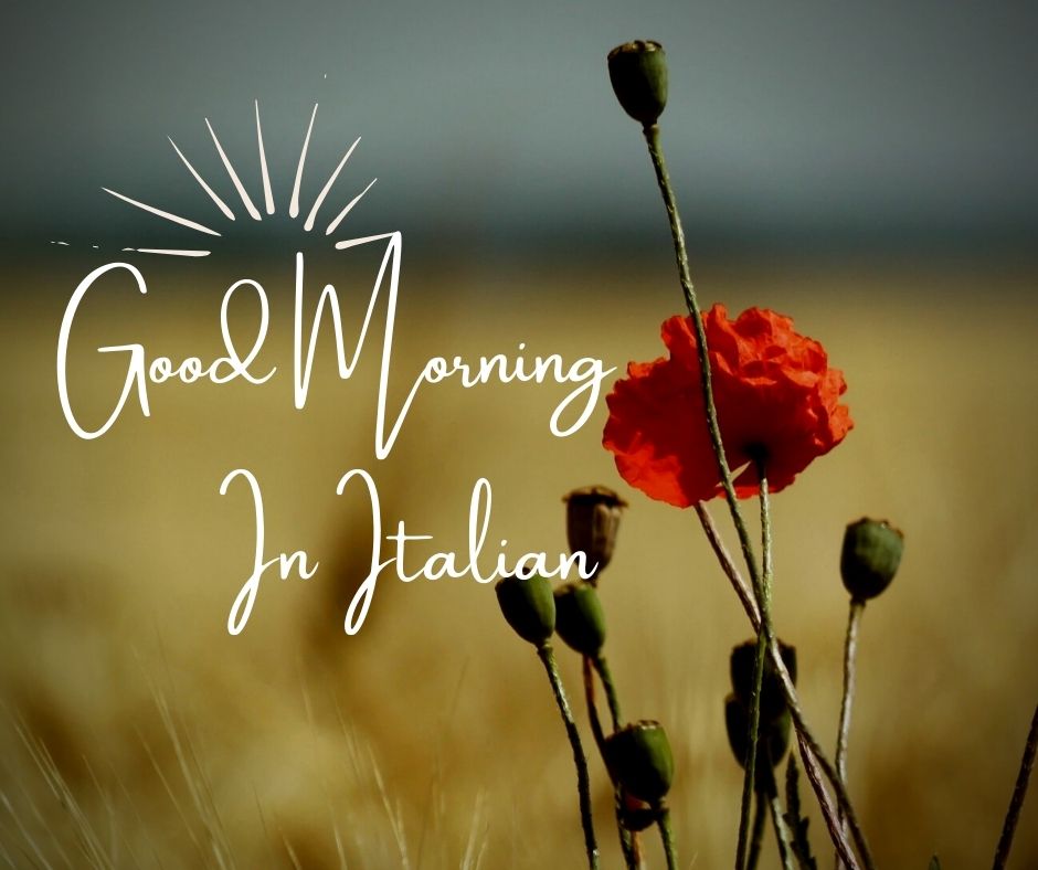 How to Say Good Morning In Italian: Basic and Comprehensive Guide - CSN