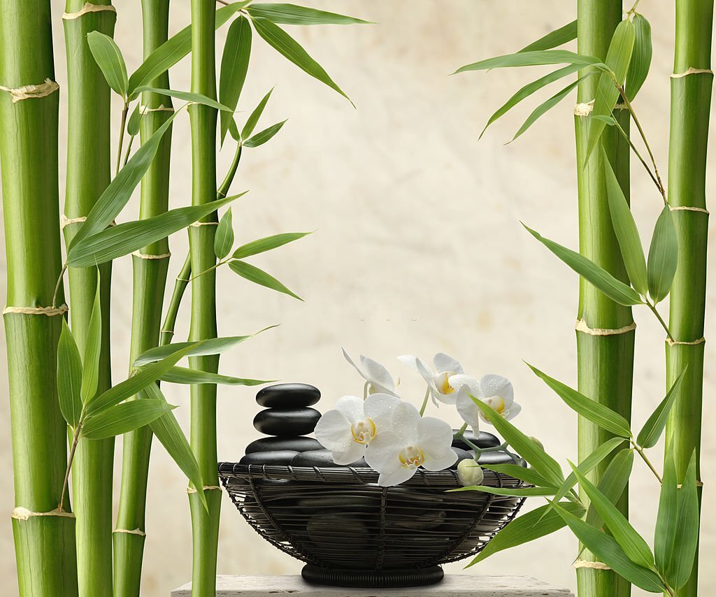 Use a New Water Source: Why is My Bamboo Turning Yellow?