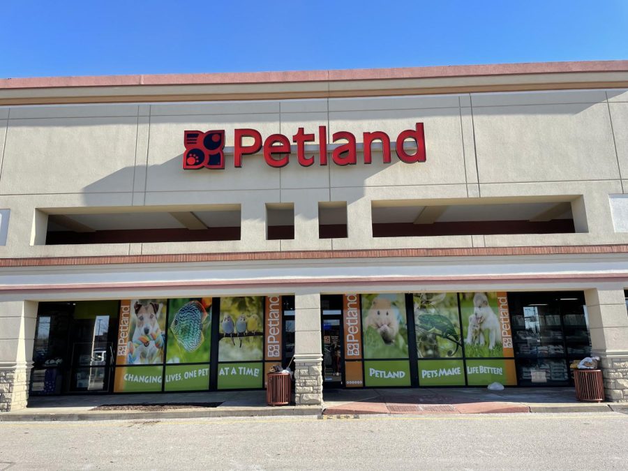 Why is Petland so Expensive?