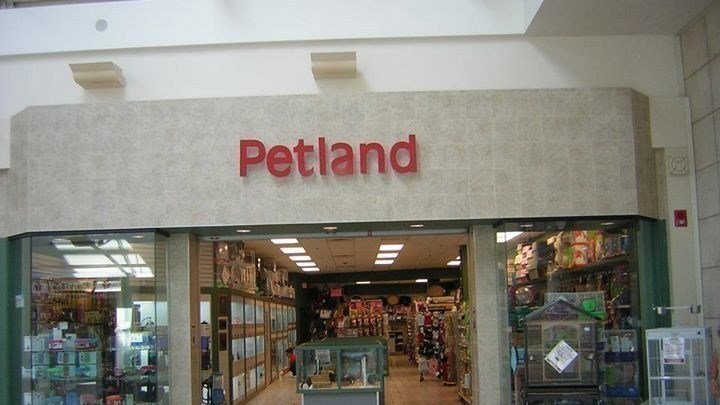 How to Save Money When Buying Petland