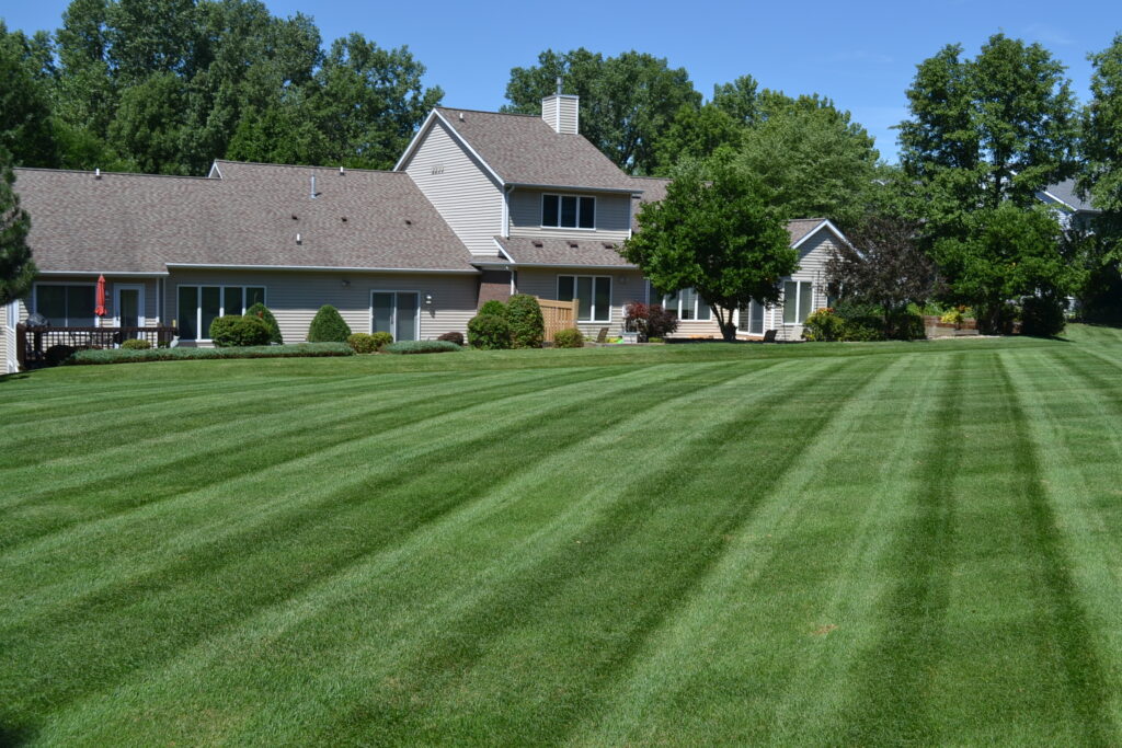 Why Your Yard Needs to be Aerated
