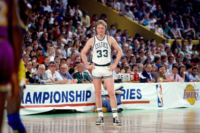 how many rings does larry bird have