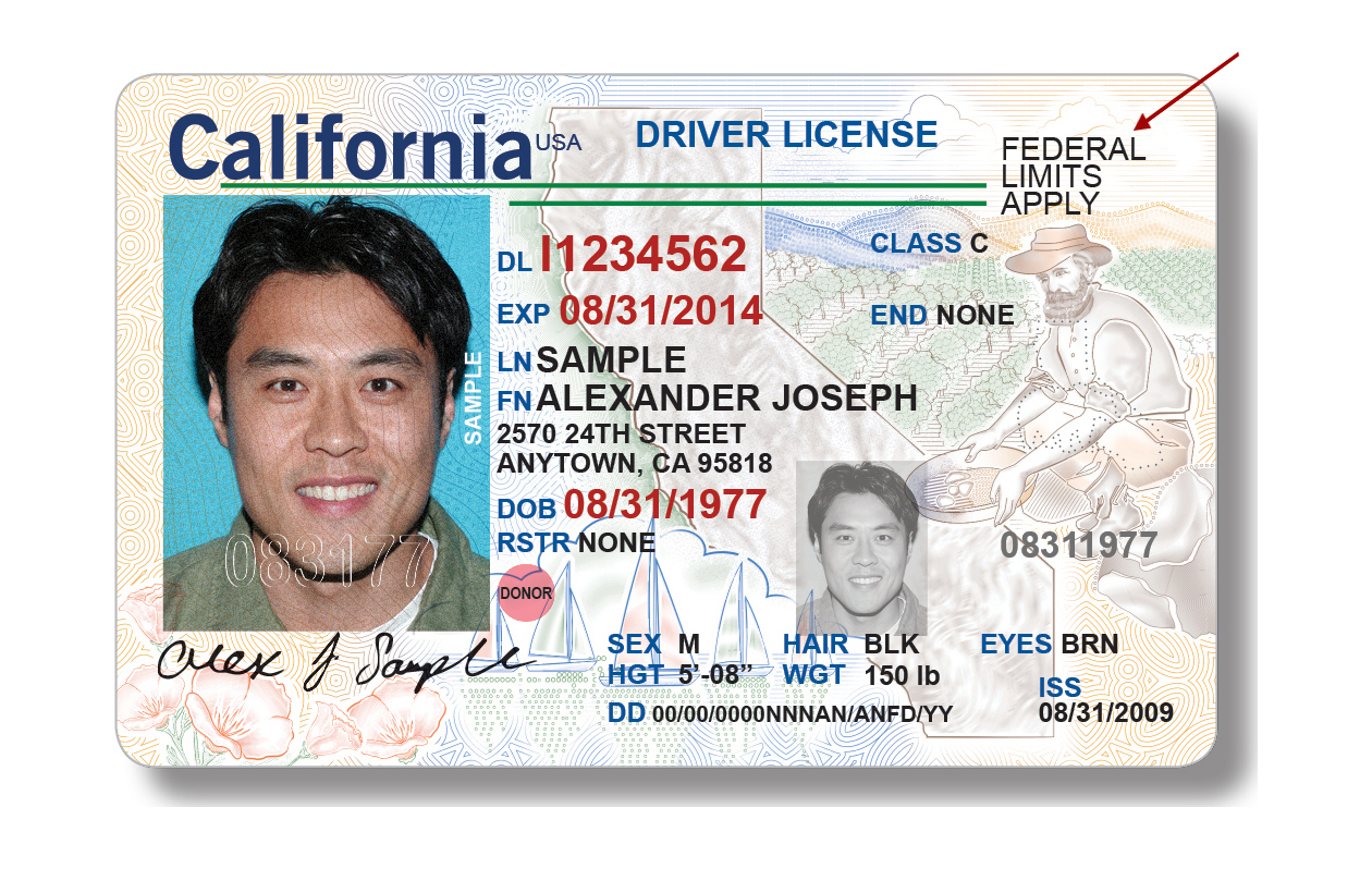 california drivers license check california drivers license check