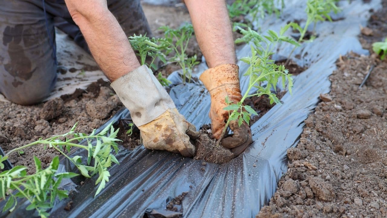 Apply for the Best Small Business Grants 2021 for Free Money