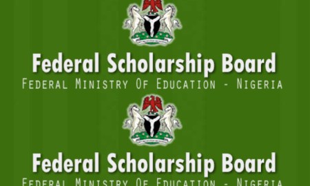 Federal Government Scholarship Deadlines 2020 and Application Updates