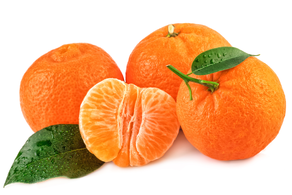 10 اختلافات كبيرة بين البرتقال واليوسفي