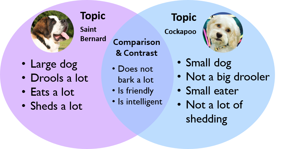 Comparison and Contrast Essay Examples Point by Point