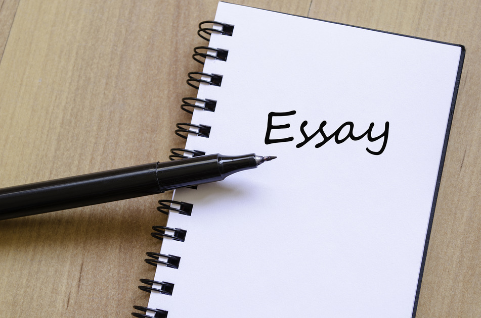 Informative Essay Examples | Principles of Informative Essay Writing