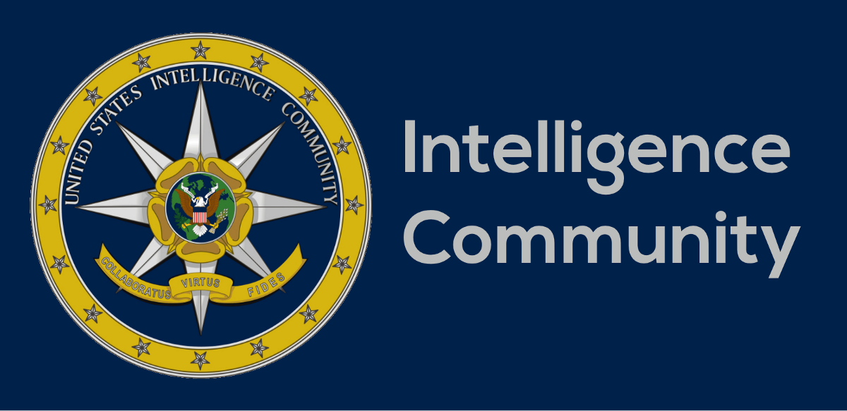 Intelligence Agencies in America