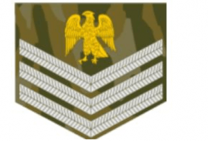 Nigerian Army Ranks and Symbols 2021