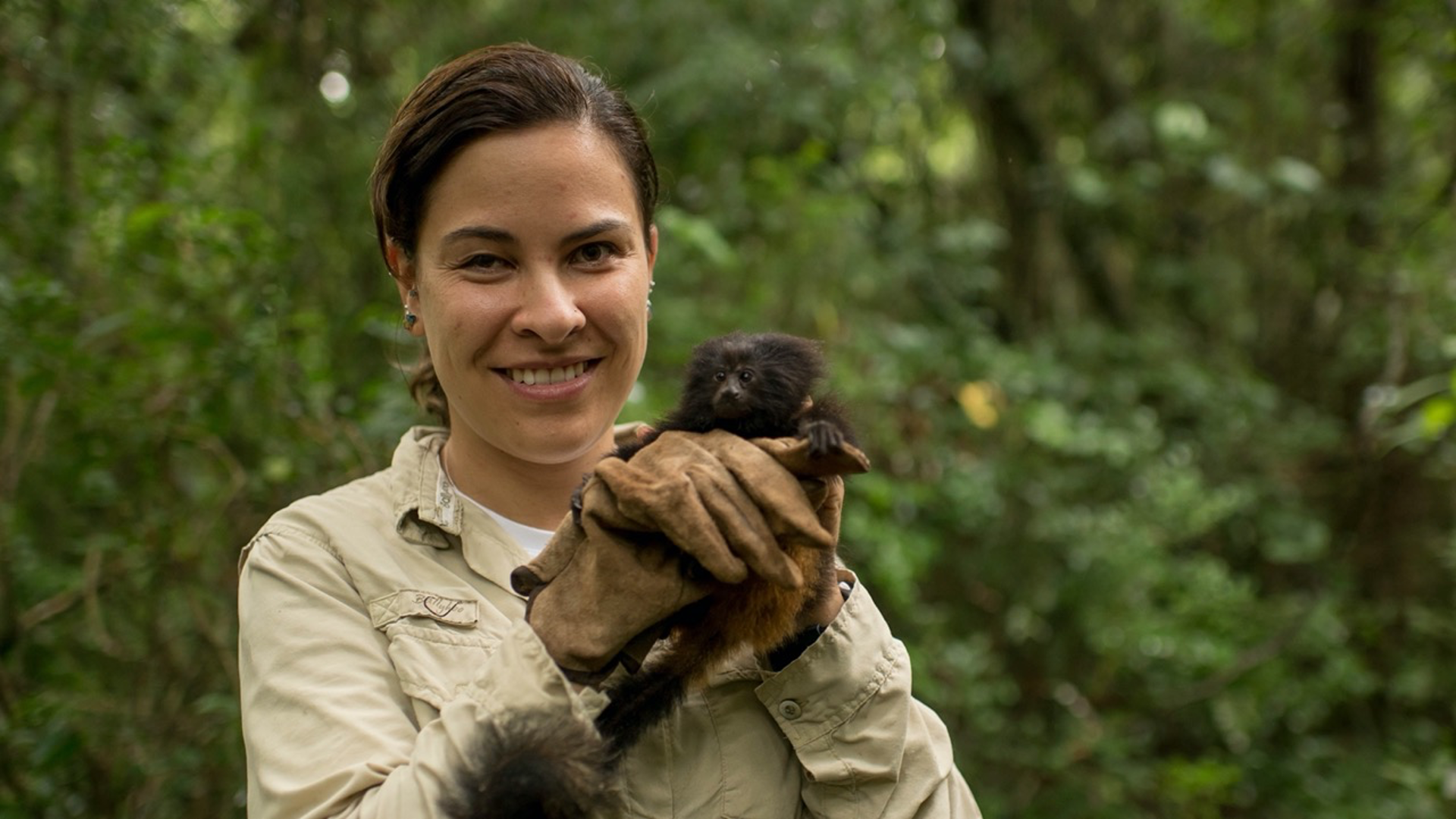 3. Brazilian Wildlife Program