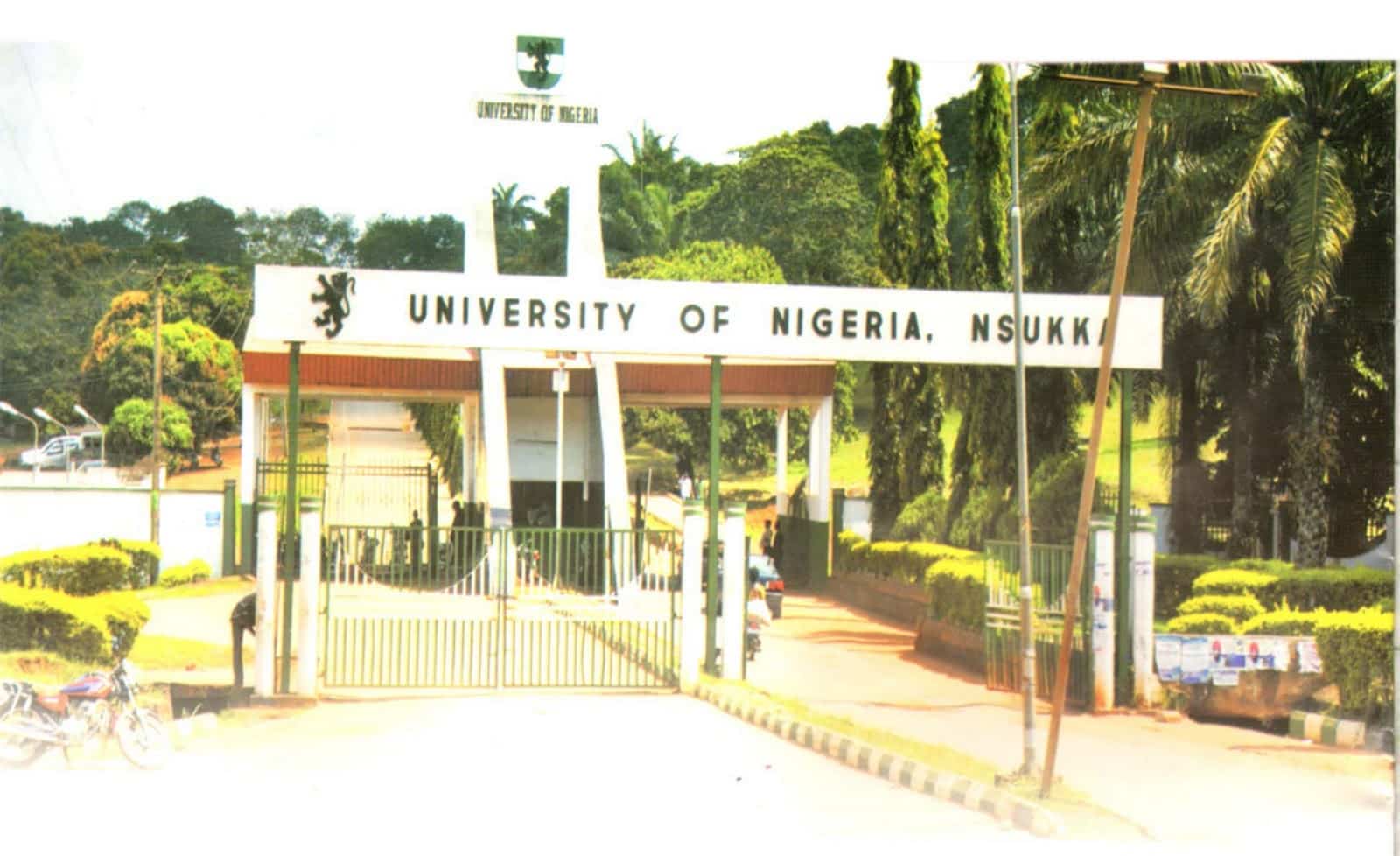 Source unn. Университет Нигерии. Нигерийском университете Нсукка.. Университет Нигерии, Nigeria, Nsukka. Unn