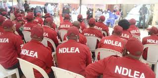 NDLEA Recruitment Past Questions and Answers