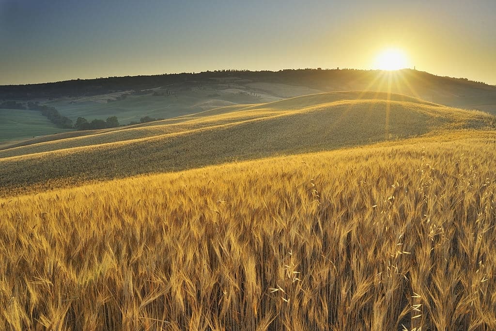 july 2021 have a new day