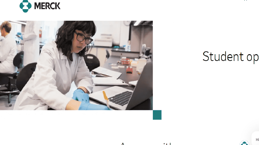 Merck IT Internships