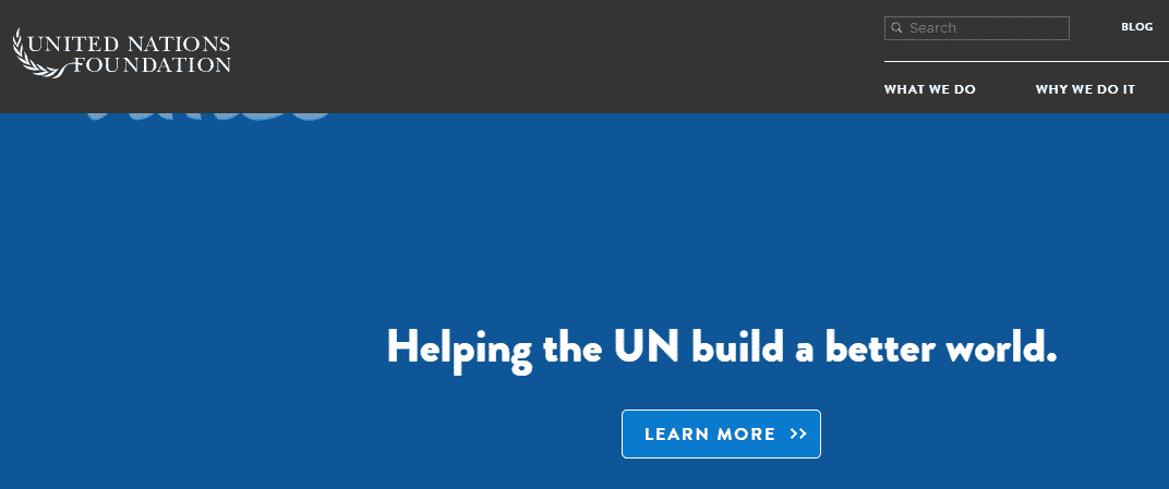 The United Nations Foundation