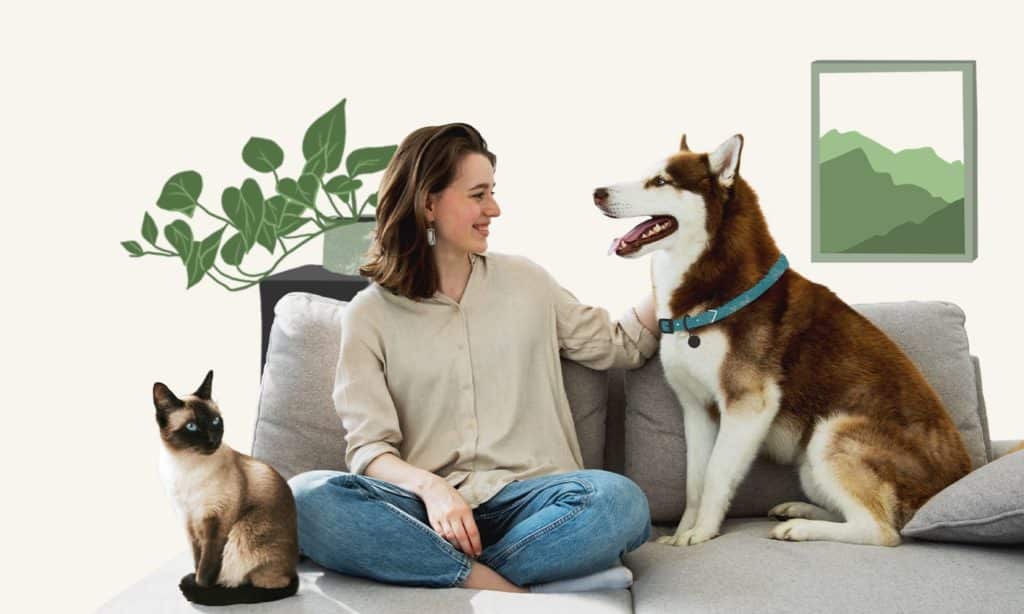 PET CARE-Part-Time Jobs for Students