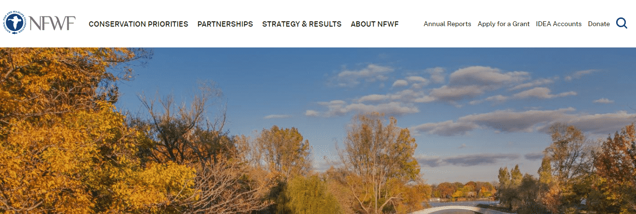 Small Business Grants