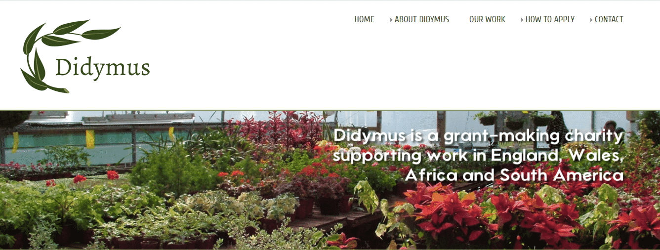 Didymus’s Grant Program to Support Smaller Charities in UK
