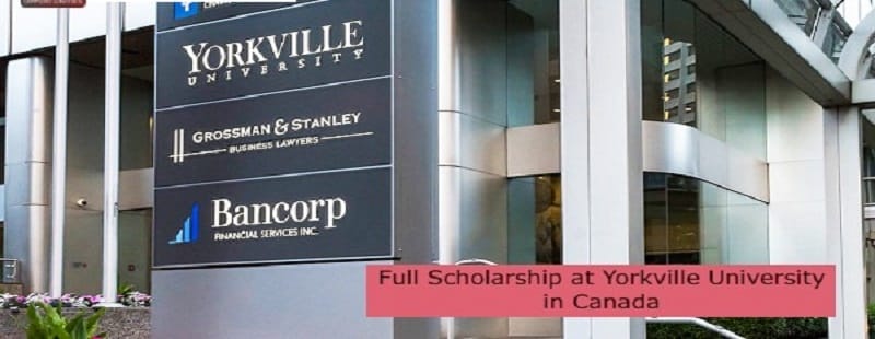 Yorkville University Scholarship