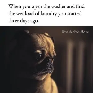Laundry struggle