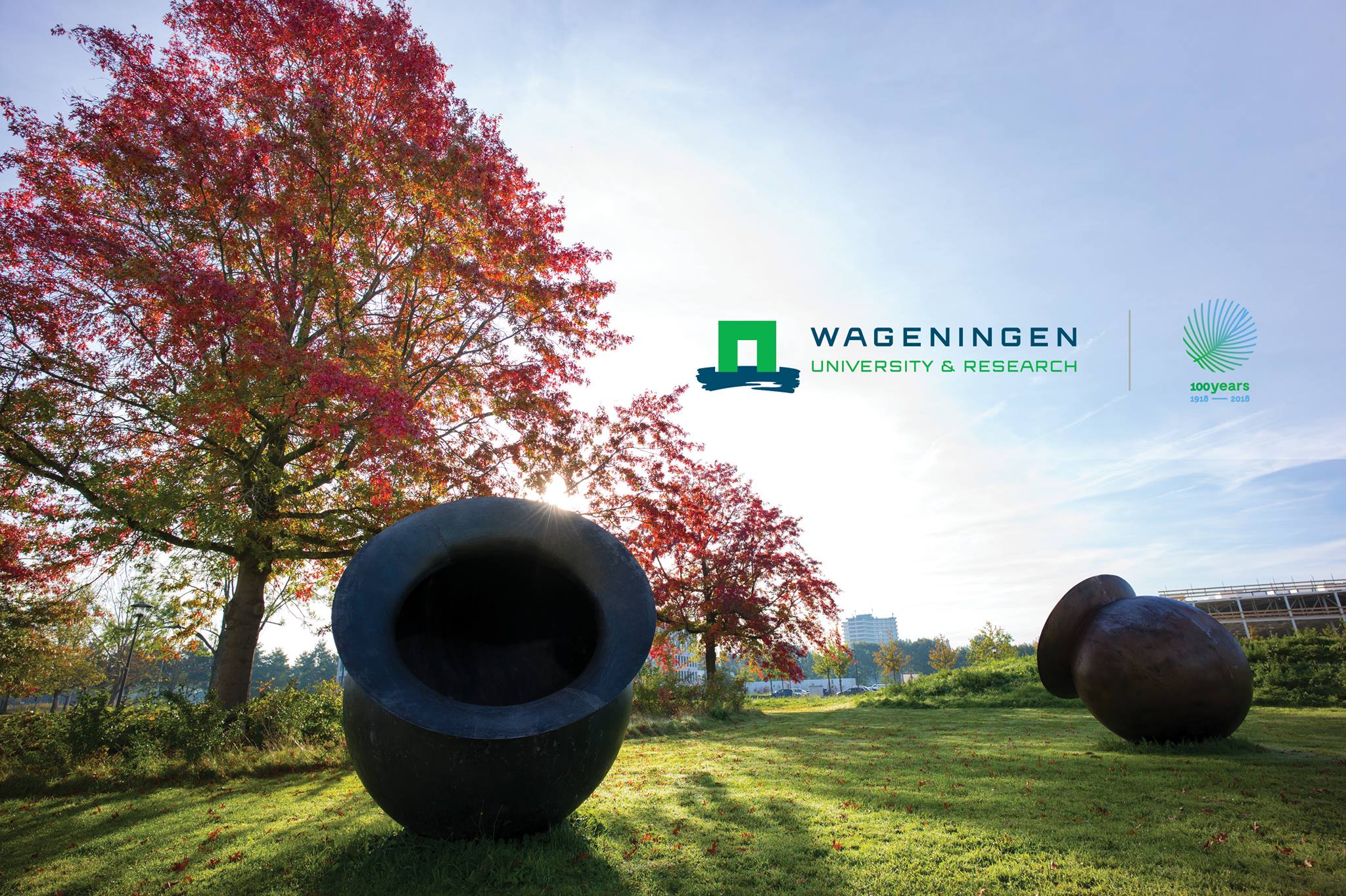 Wageningen University Scholarships