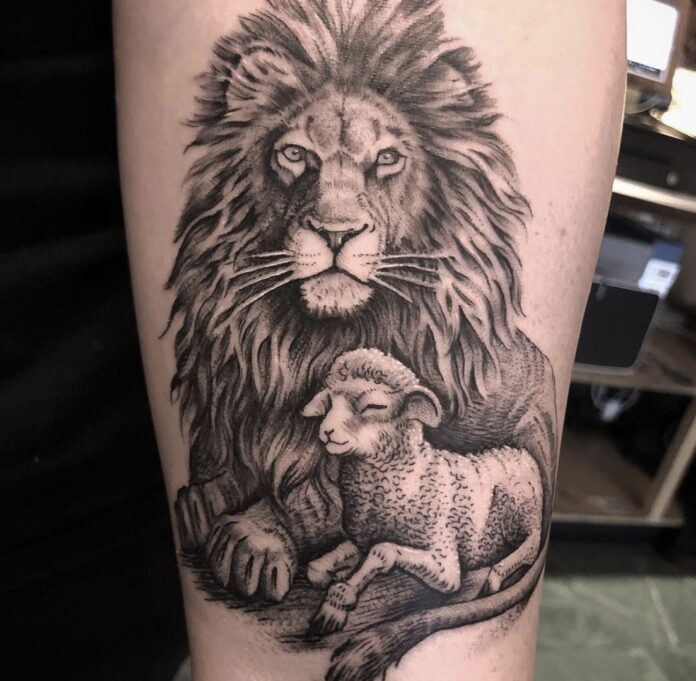 Lion and Lamb Tattoo, simple leg tattoos for females, lower leg tattoos for females, leg tattoos for men, leg tattoos for women, leg sleeve tattoo, female leg tattoos, leg sleeve tattoo men,