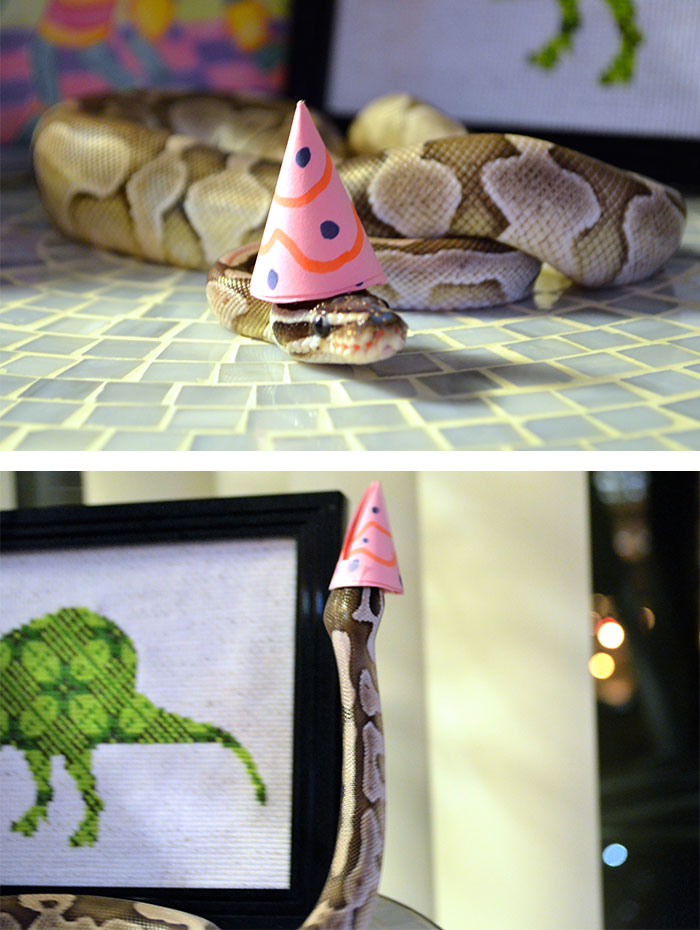 snake with party hat, tiny hats for snakes, adorable snake with hat, snakes in top hats, im a snek,