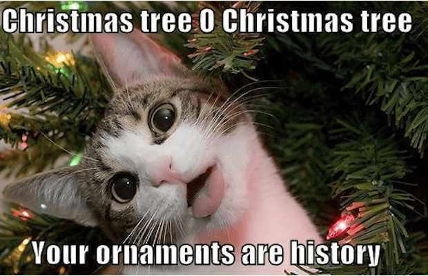 48 Hilarious Christmas Memes 2022 Update : Current School News