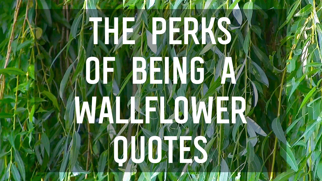PERKS OF BEING A WALLFLOWER QUOTES