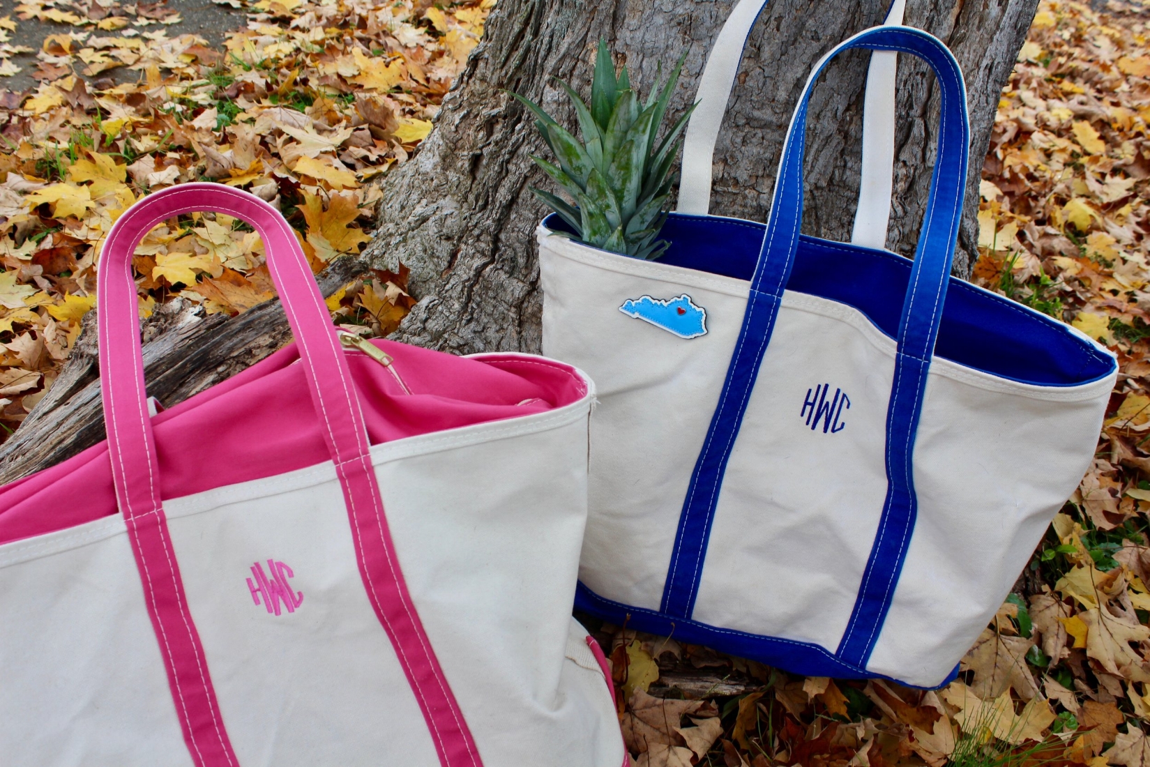 ll bean bolsas and totes
