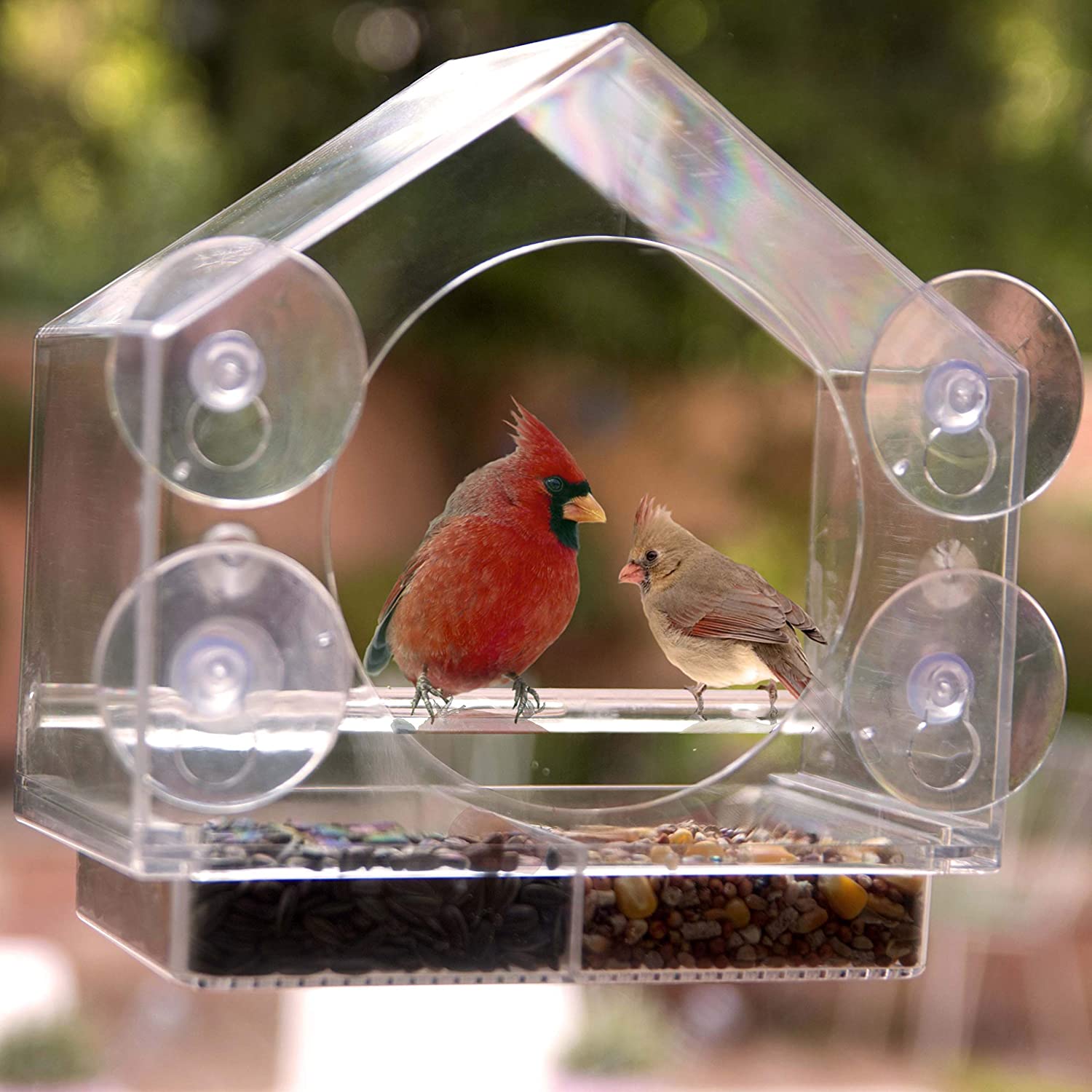 Nature Anywhere Window Bird House Feeder, The 50 Best and Enticing Gifts for Grandparents in 2022