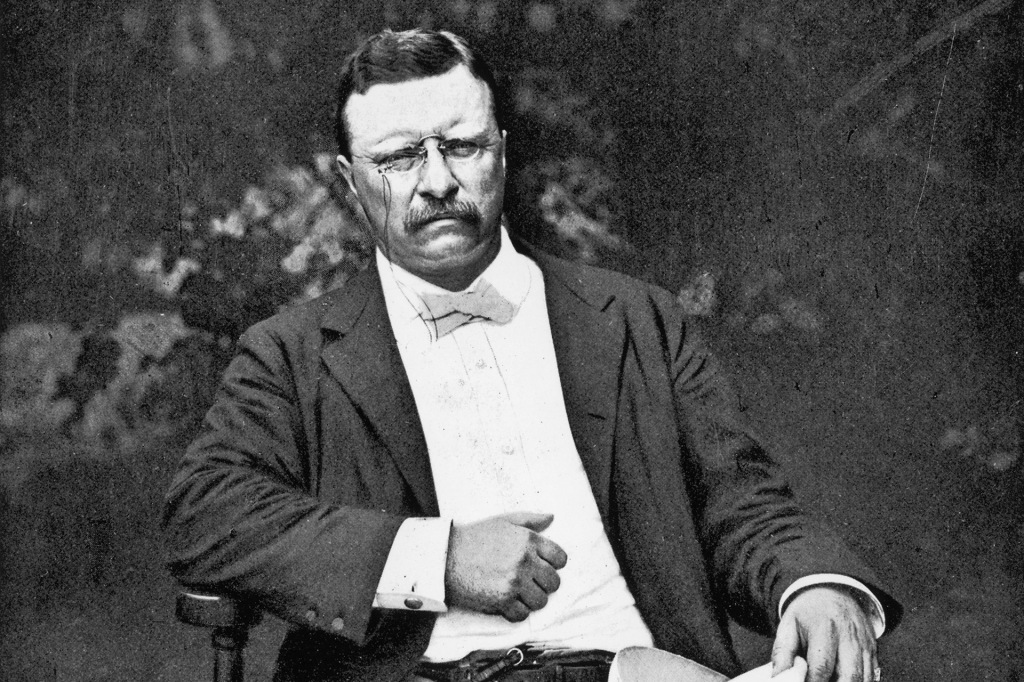 Theodore Roosevelt Quotes