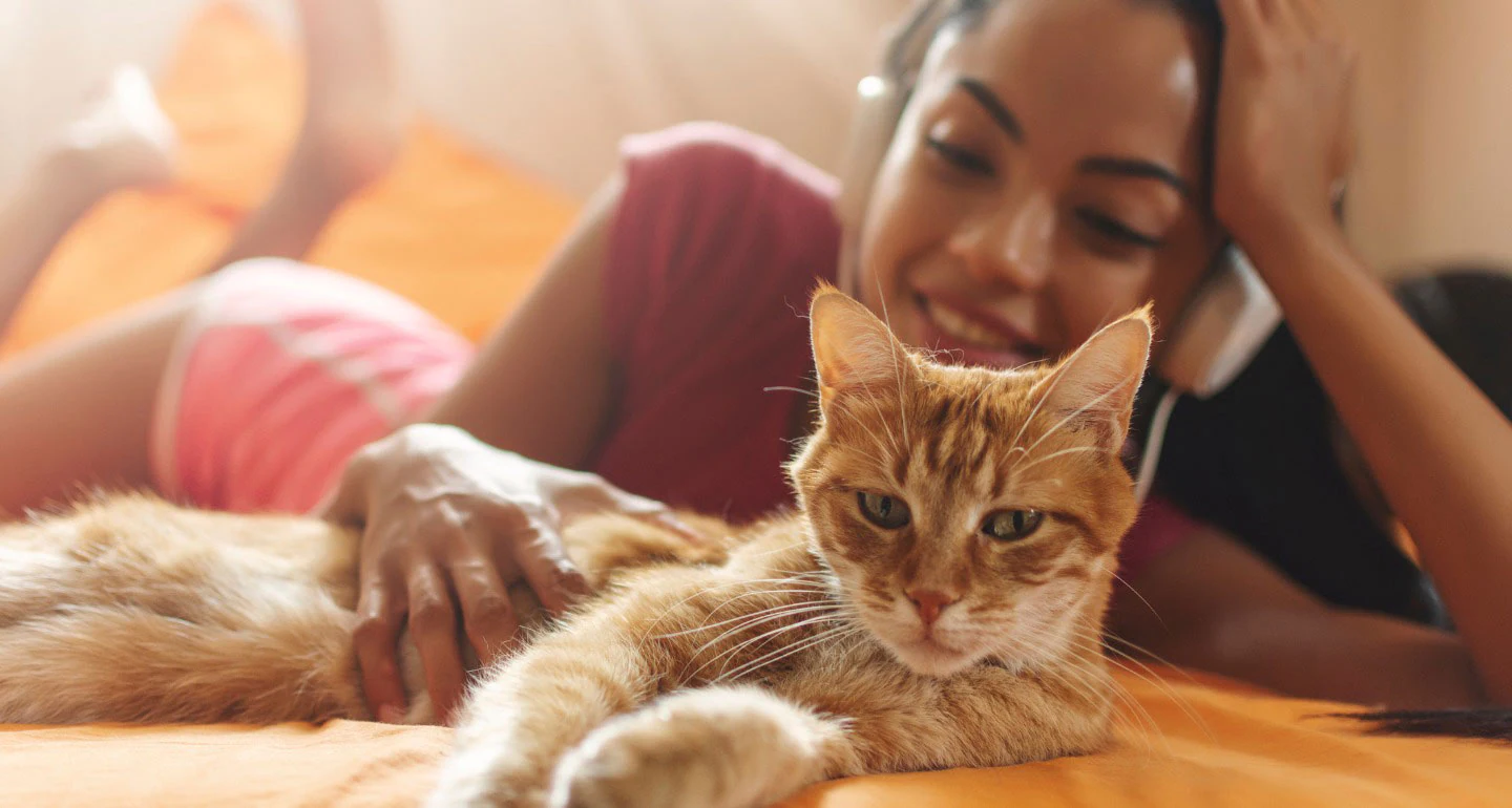 Les 100 Noms De Chats Femelles Les Plus Adorables Et Les Plus Mignons Actualites Scolaires Actuelles