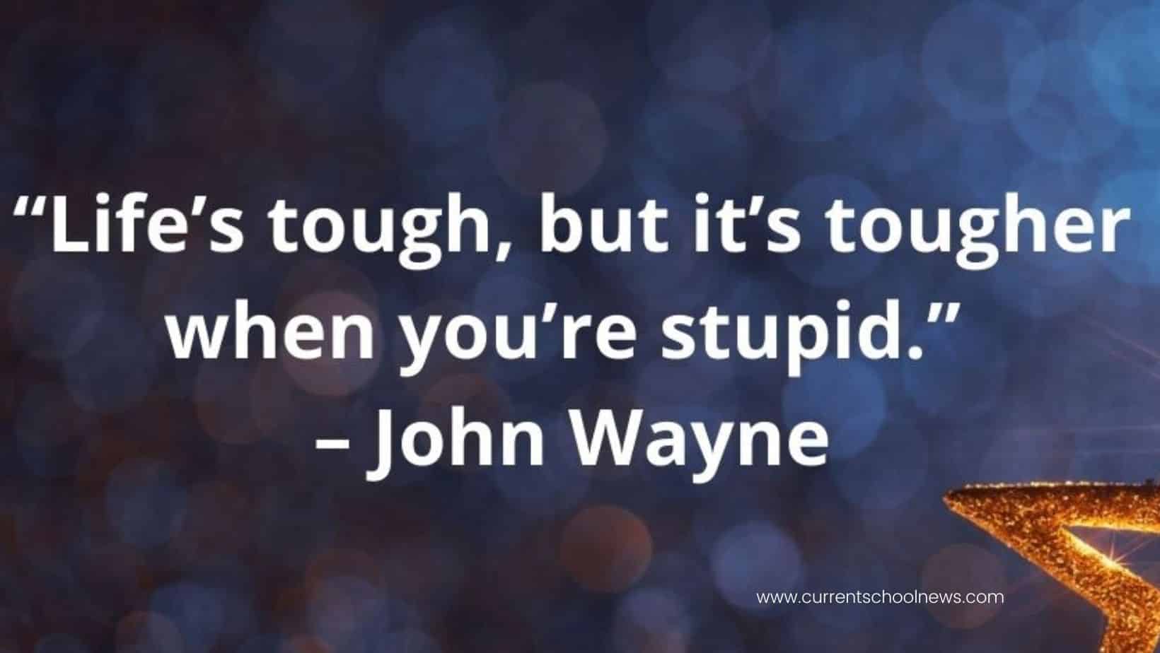 enjoy life quotes to avoid being stupid 