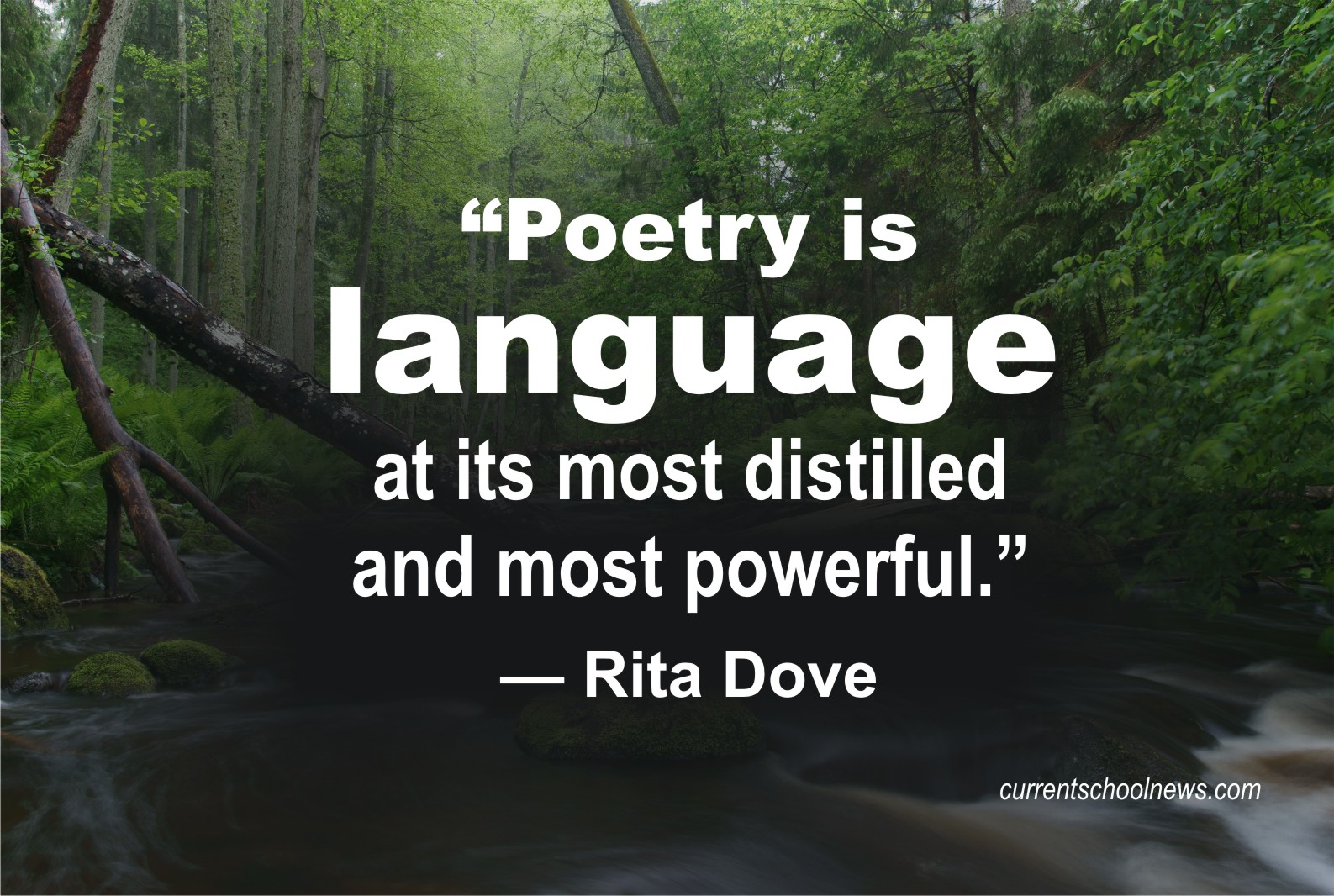 Quote About Poetry