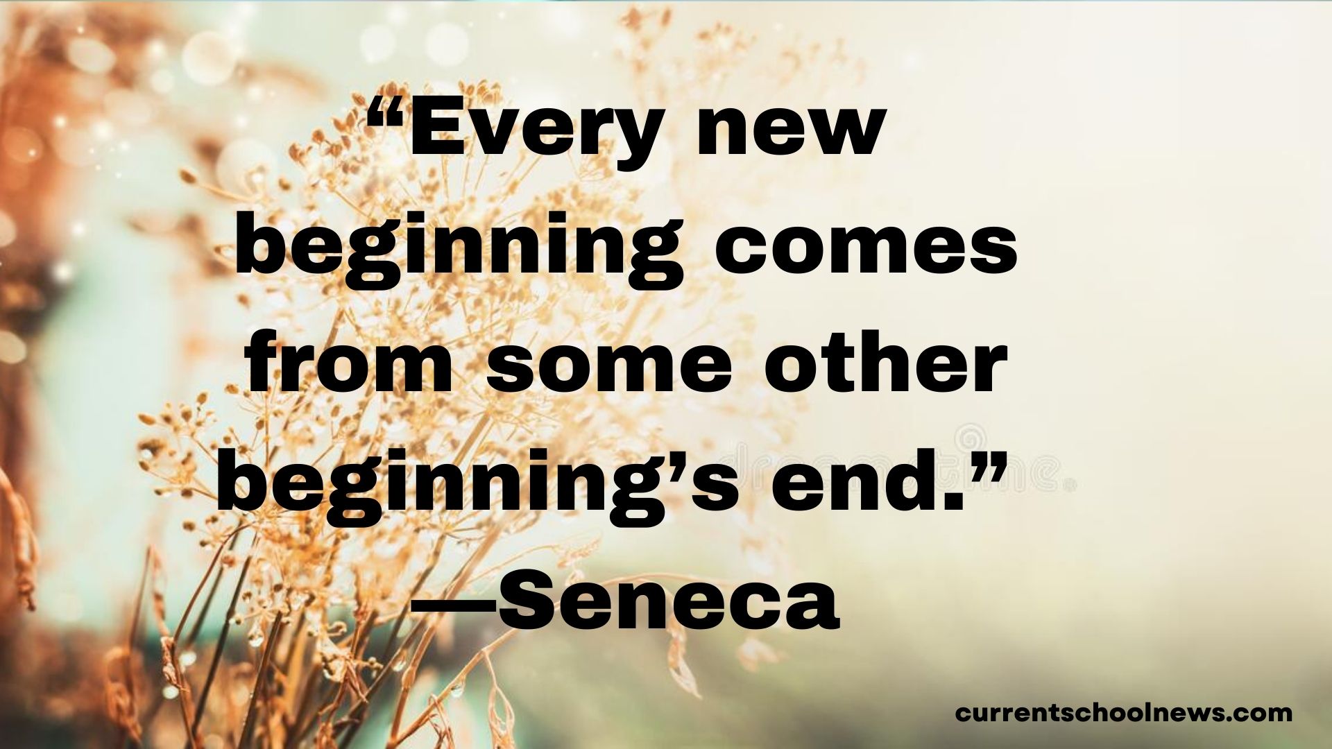 Quotes about New Beginnings