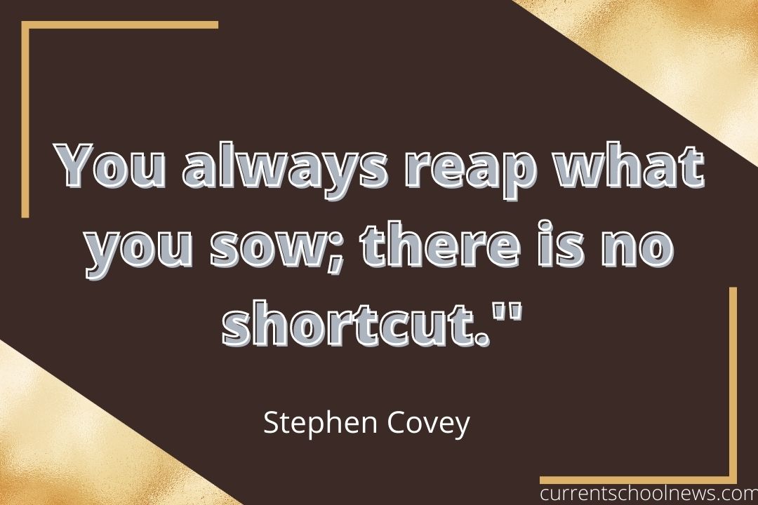You Reap What You Sow Quotes
