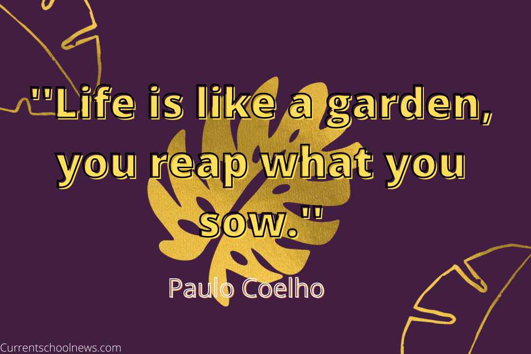 You Reap What You Sow Quotes