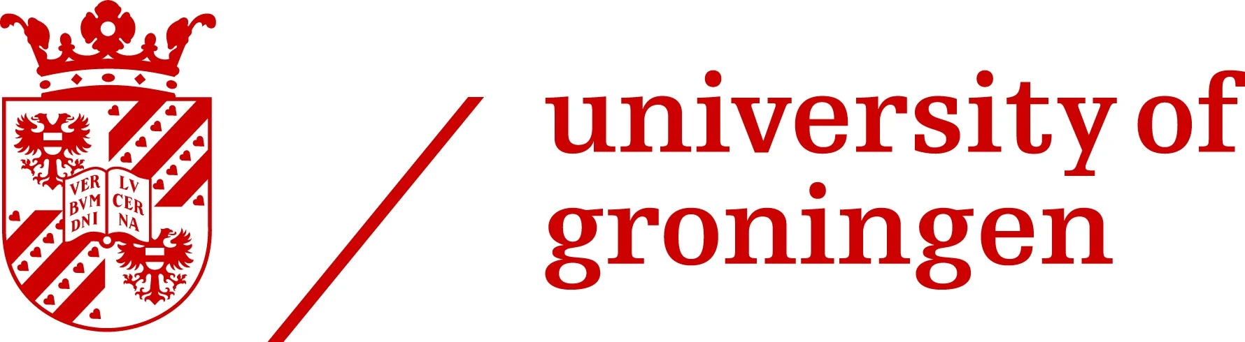 Borse di studio per master dell'Università di Groningen