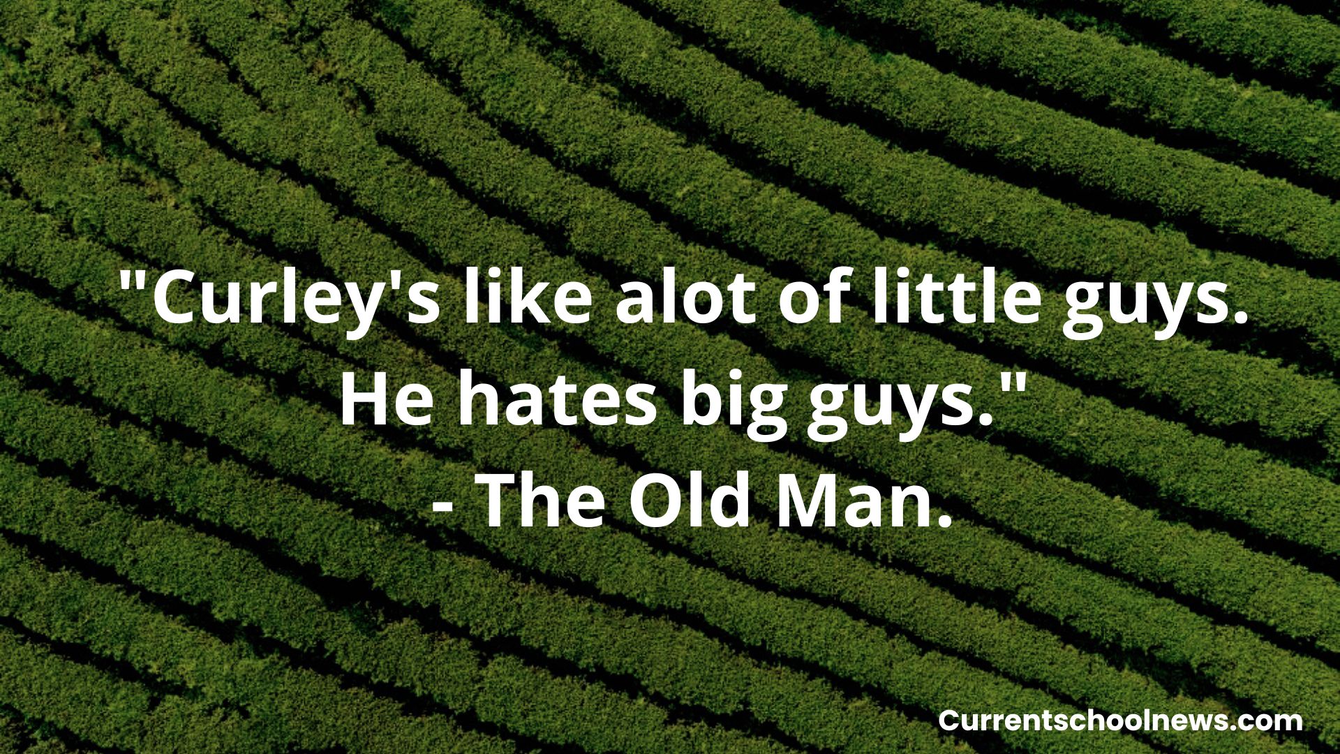 Of Mice and Men Quotes