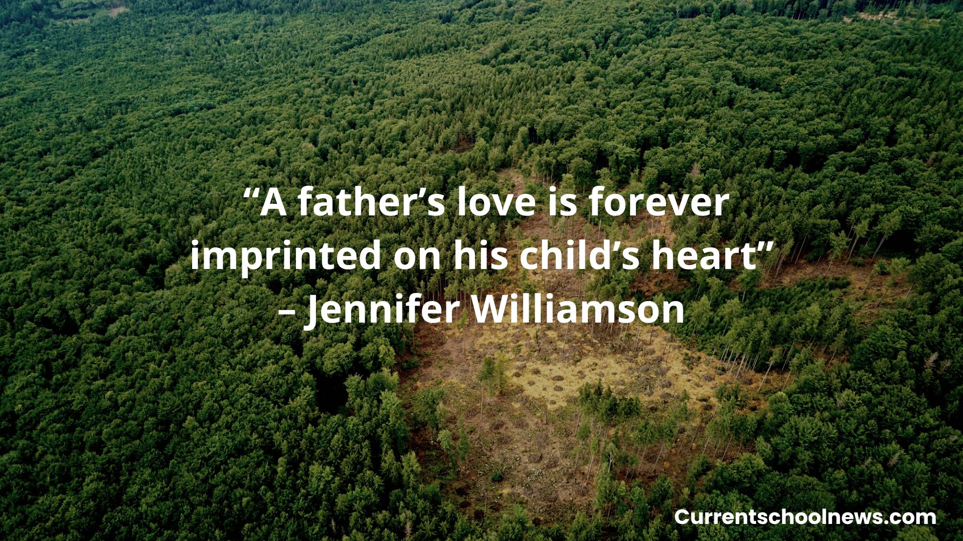 Dad Quotes From Daughter Miss You