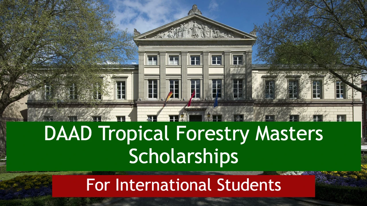 Borse di studio per maestri forestali tropicali