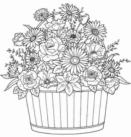 basket flower