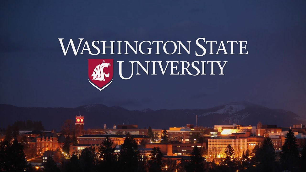 Washington State University Masters Scholarship