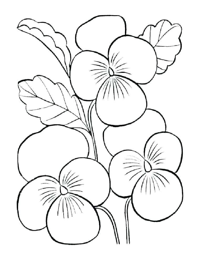 asdult coloring page