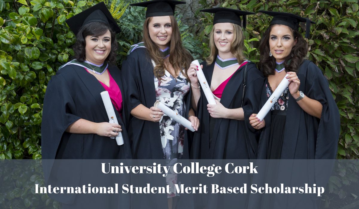 University College Cork Puttnam Scholarship