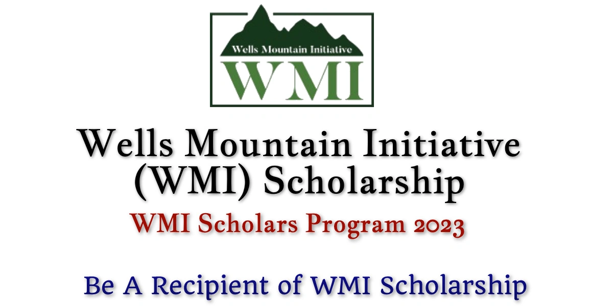 WMI Scholarship Program