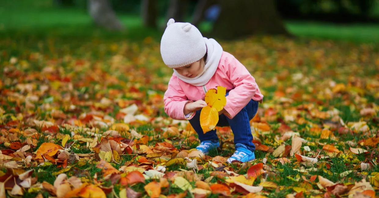 coloriages d'automne