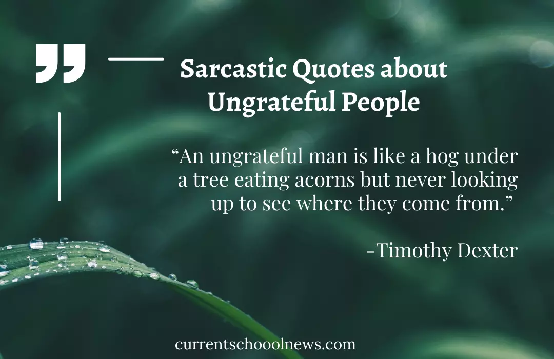 sarcastic quotes about ungrateful people